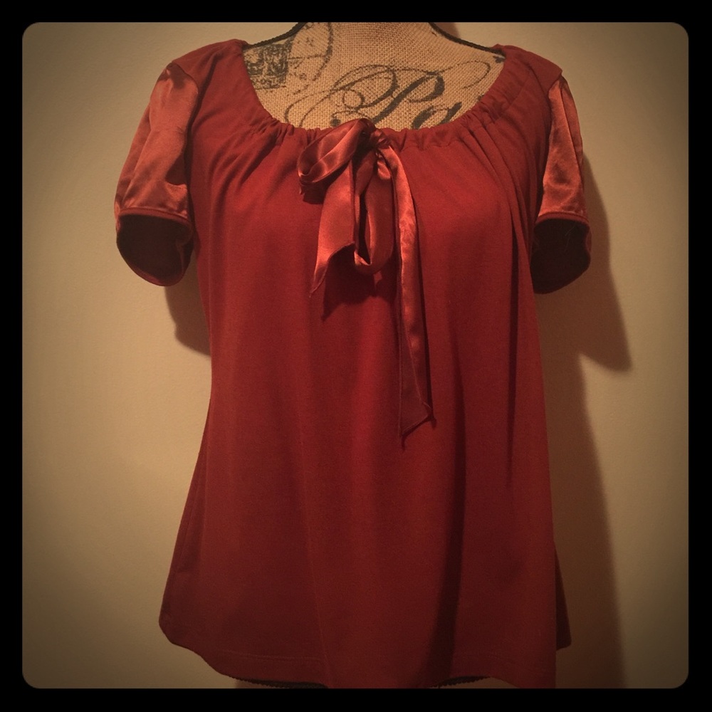 Short Sleeve Top with Satin Sleeves Color: Rust